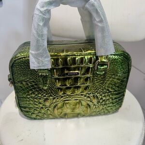 Brahmin Mara cacti green